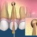 Ortho-Extend - cabinet stomatologic